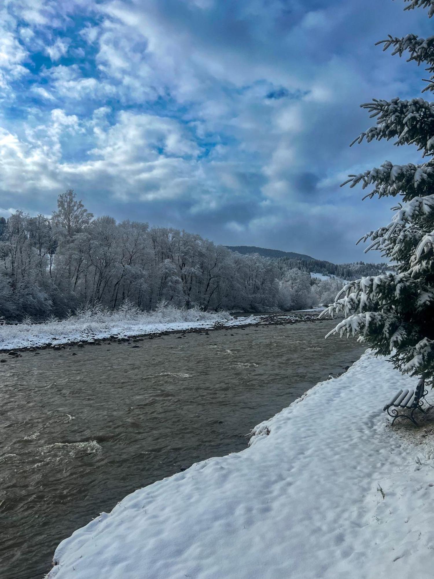 Котедж Шум Черемоша На Березі Річки Verchovyna Exteriér fotografie